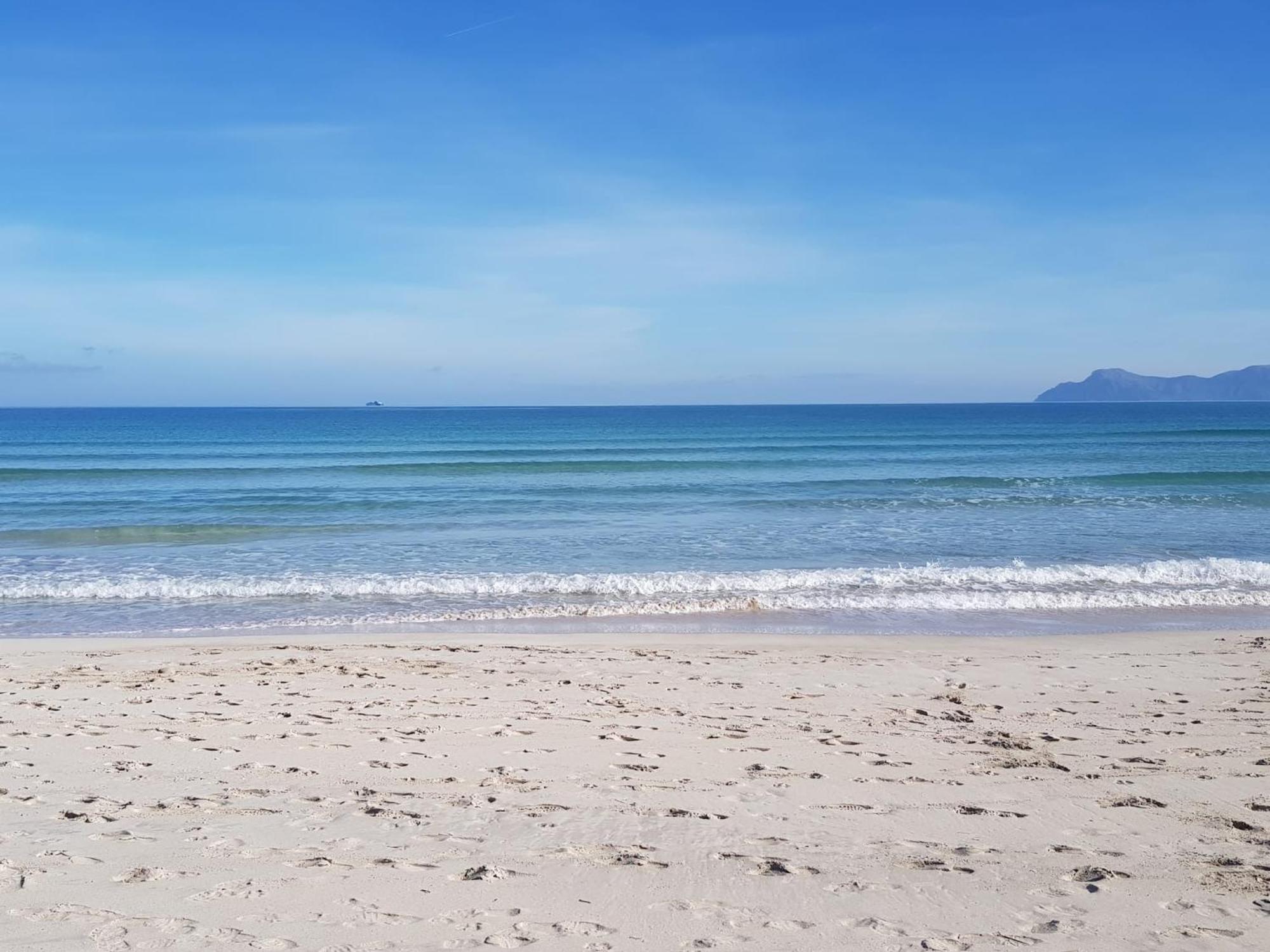 Ideal Property Mallorca - Cittadini 37 Alcudia  Luaran gambar